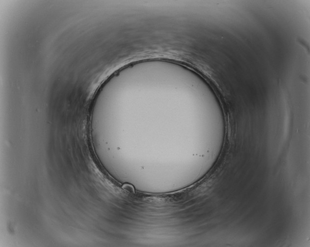 X0000101671500200807241428