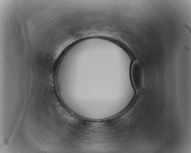 X0000101671501200807241428