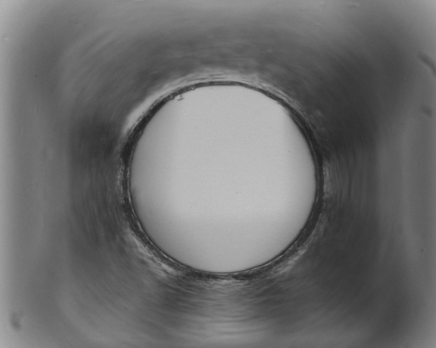 X0000101671502200807241428