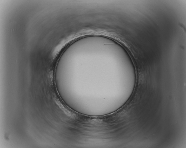 X0000101671503200807241428