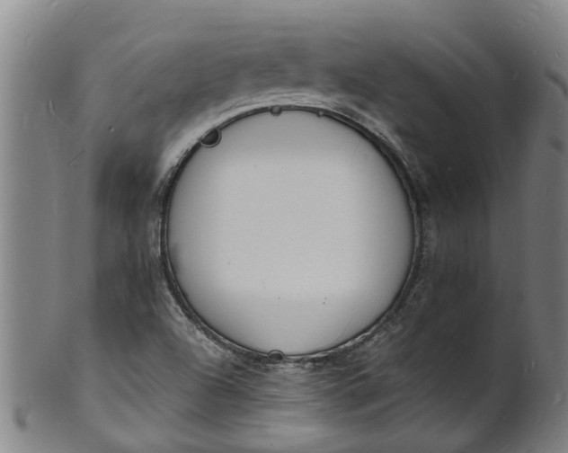 X0000101671504200807241428
