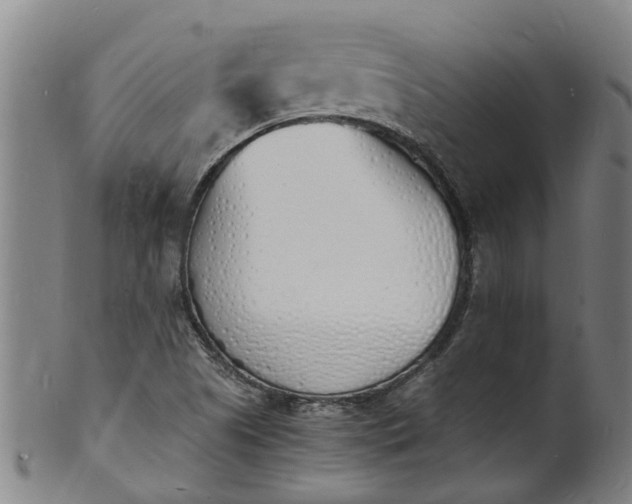 X0000101671505200807241428