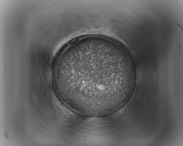 X0000101671506200807241428