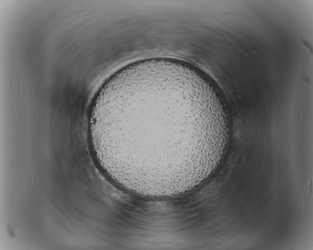 X0000101671508200807241428
