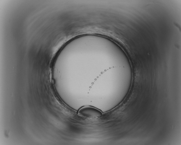 X0000101671509200807241428