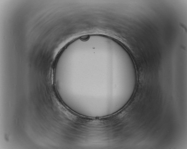 X0000101671510200807241428