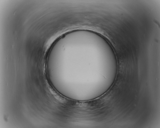 X0000101671511200807241428