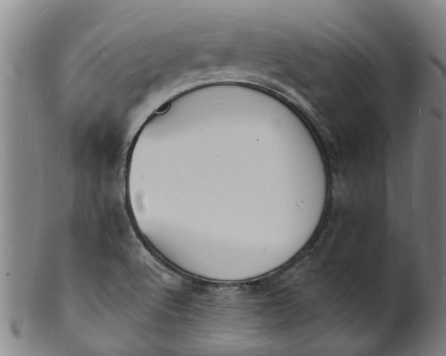X0000101671512200807241428