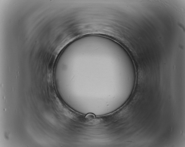 X0000101671513200807241428