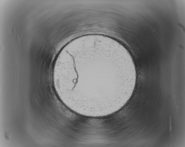X0000101671514200807241428
