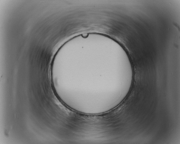 X0000101671516200807241428