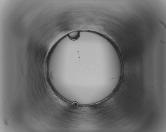 X0000101671517200807241428