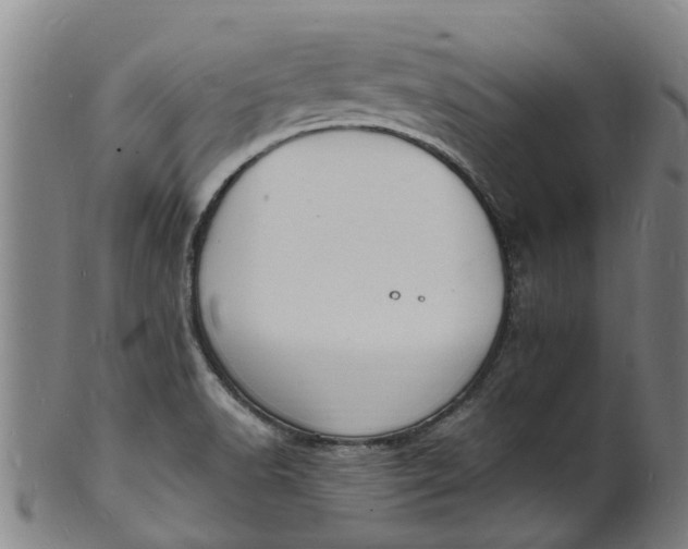 X0000101671518200807241428