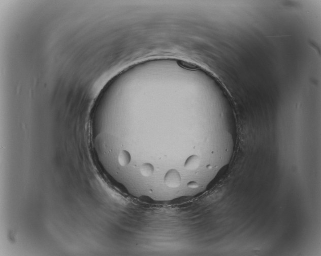 X0000101671519200807241428