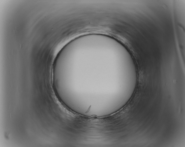 X0000101671520200807241428