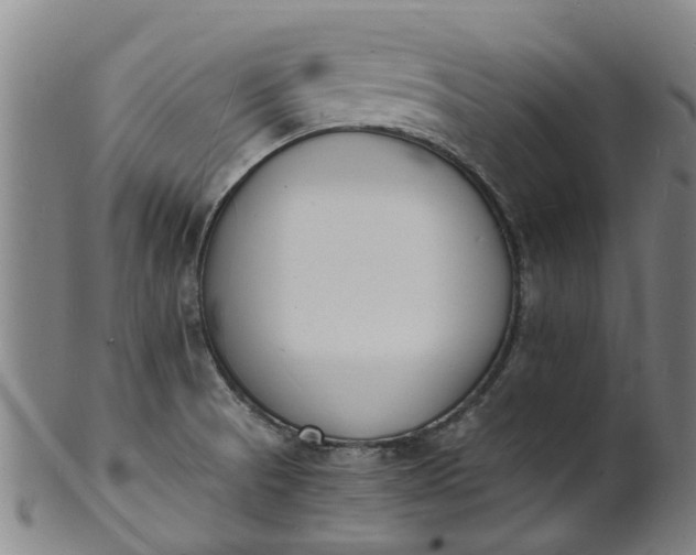 X0000101671521200807241428