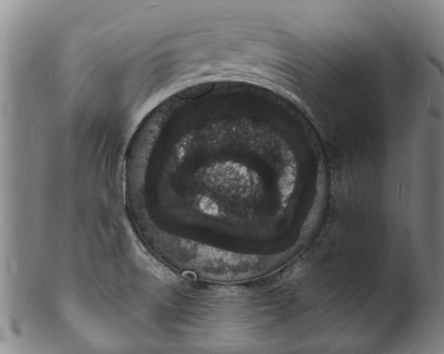 X0000101671522200807241429