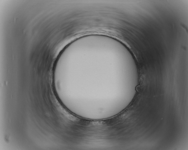 X0000101671523200807241429
