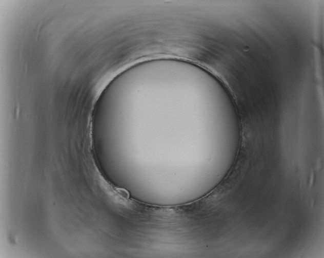 X0000101671524200807241429