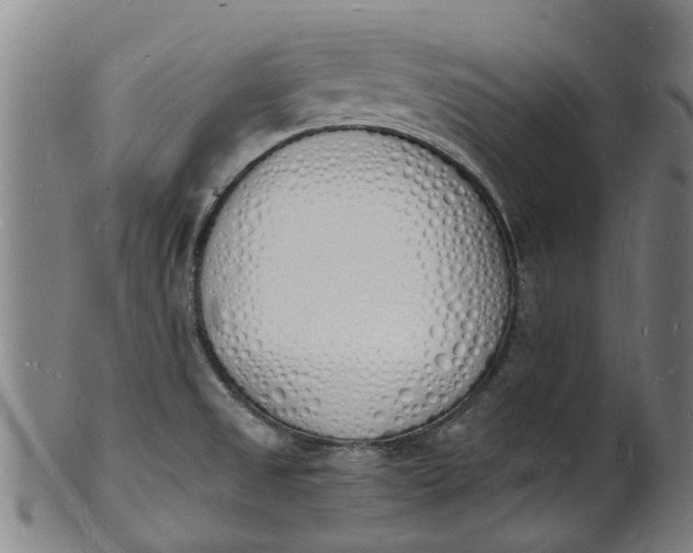 X0000101671525200807241429