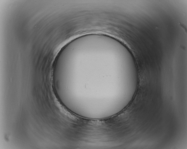 X0000101671526200807241429