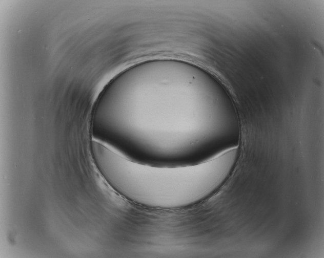 X0000101671530200807241429