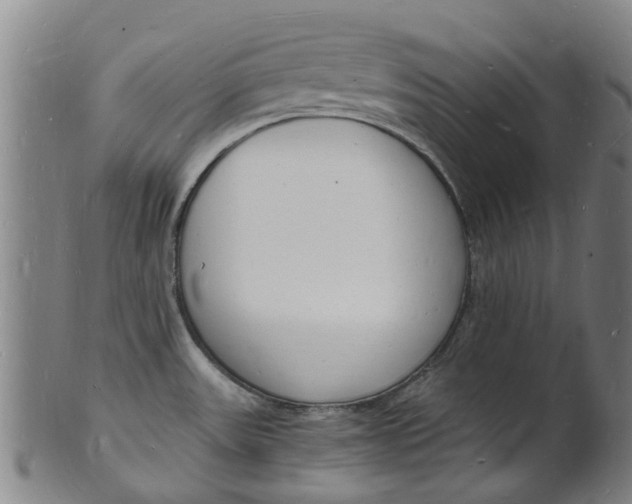 X0000101671531200807241429