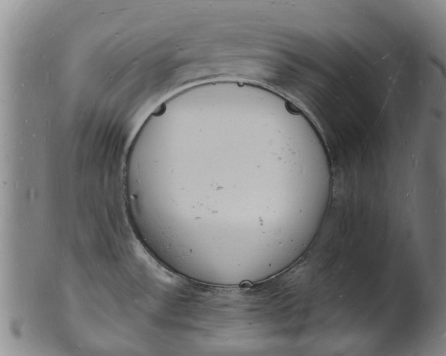 X0000101671532200807241429