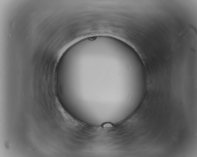 X0000101671534200807241429