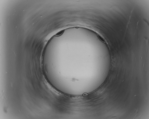 X0000101671535200807241429