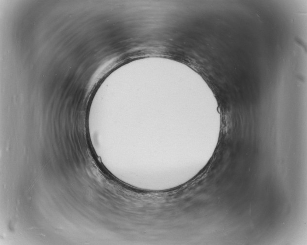 X0000101670004200807311507