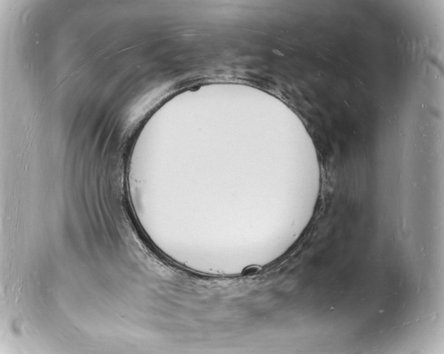 X0000101670005200807311507