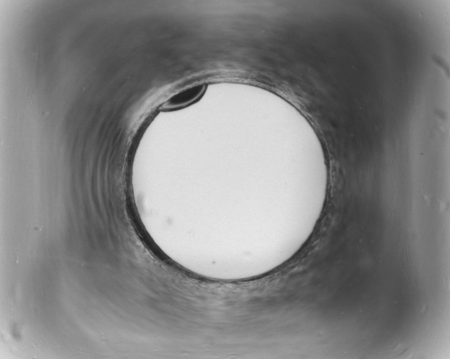X0000101670007200807311507