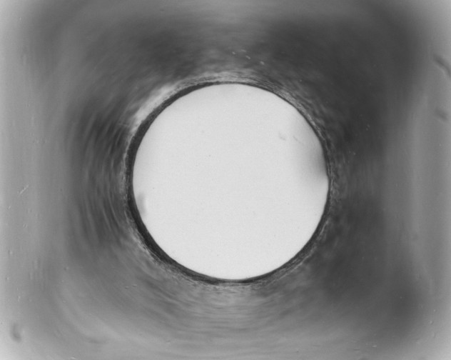 X0000101670008200807311507