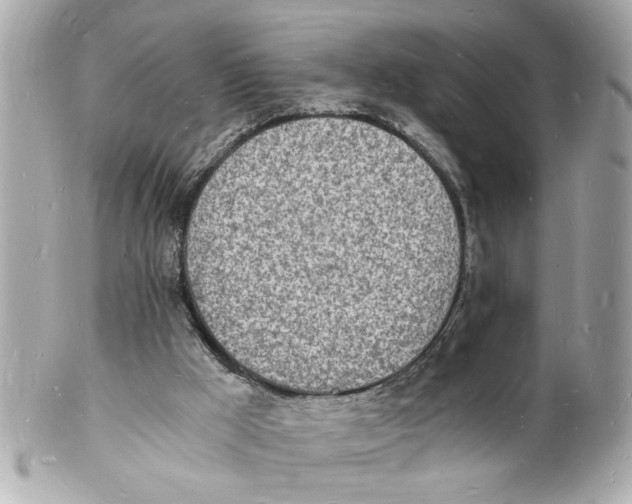 X0000101670009200807311507