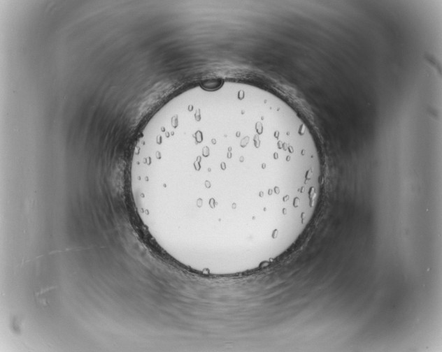 X0000101670010200807311507
