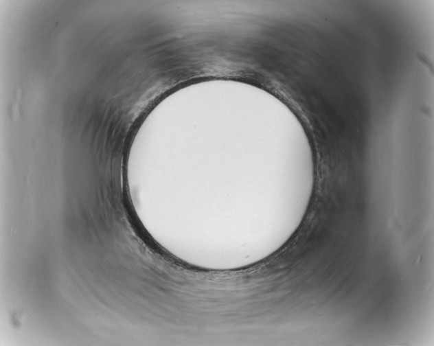 X0000101670011200807311507
