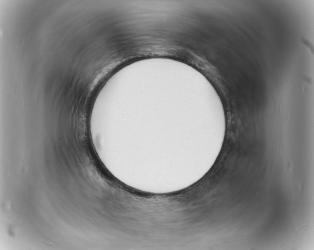 X0000101670012200807311507