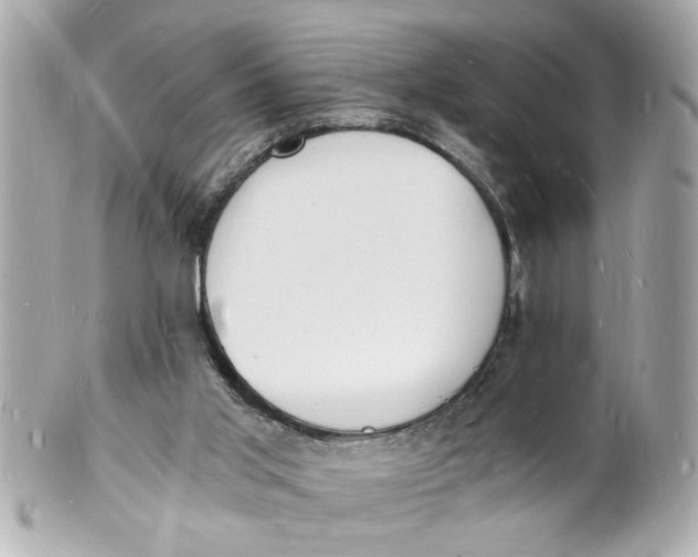 X0000101670013200807311507
