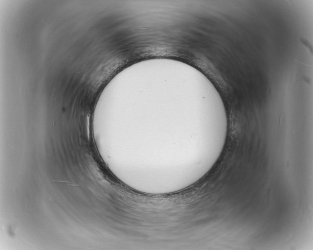 X0000101670014200807311507