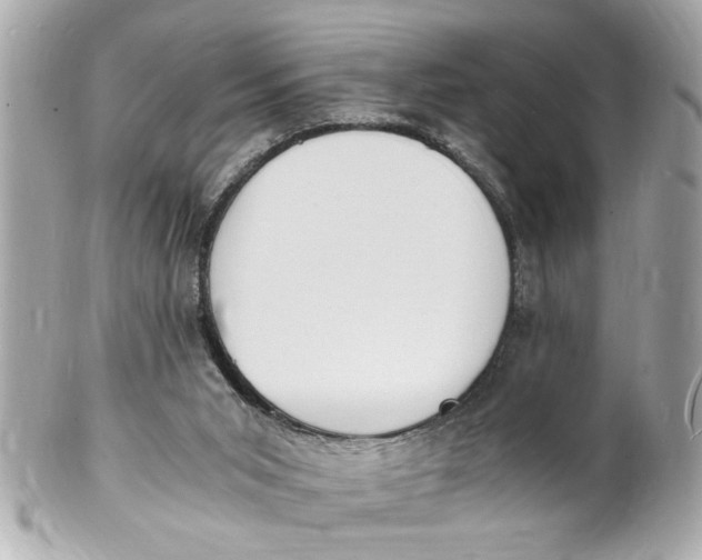 X0000101670015200807311507
