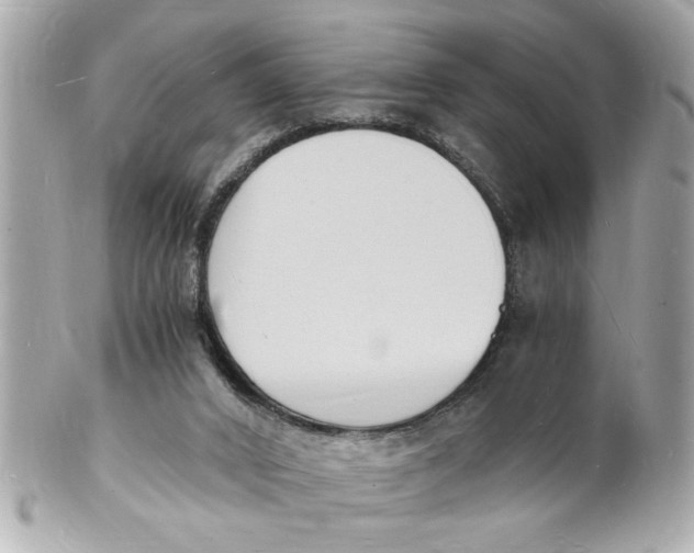X0000101670016200807311507