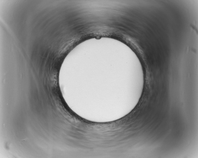 X0000101670017200807311507