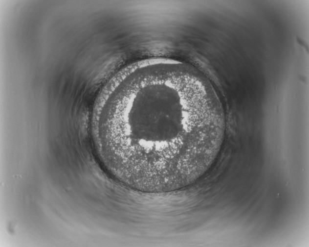 X0000101670018200807311507