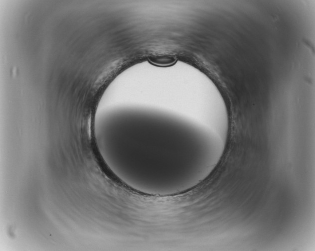 X0000101670019200807311507