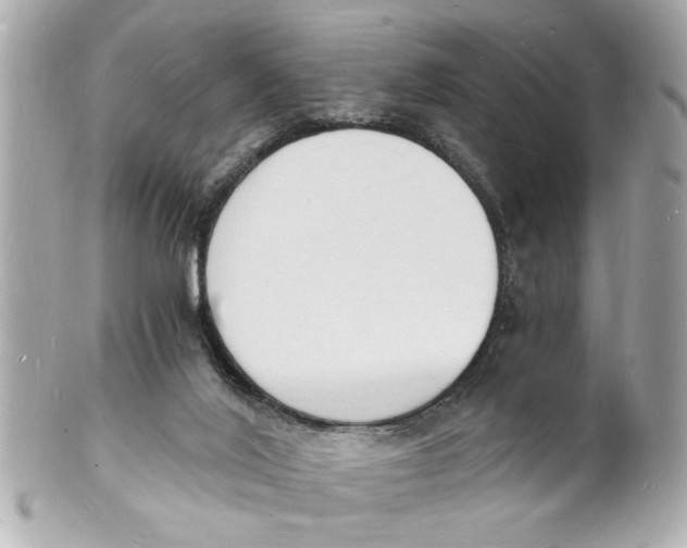 X0000101670020200807311507
