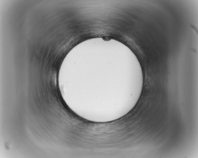 X0000101670021200807311507