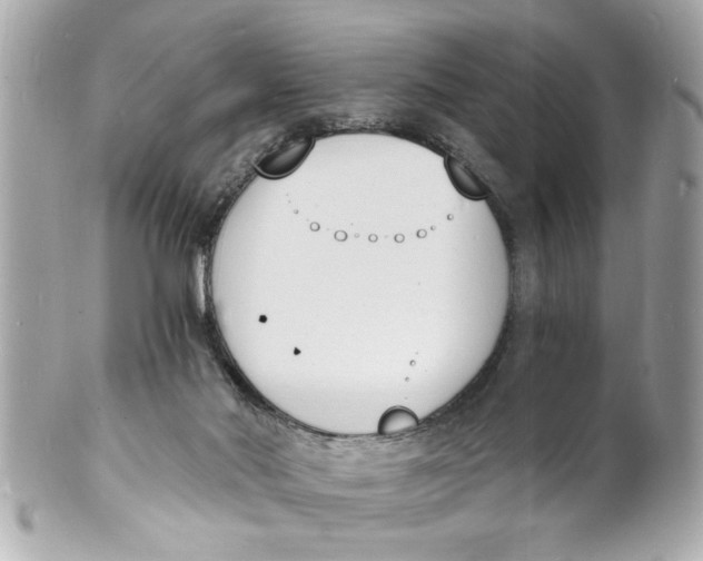 X0000101670022200807311507