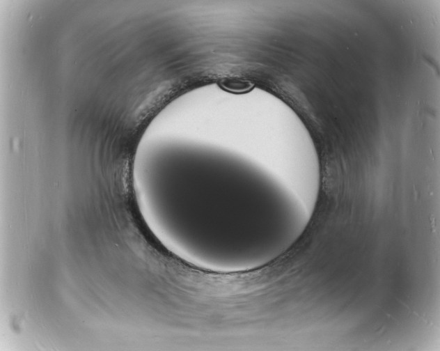 X0000101670023200807311507