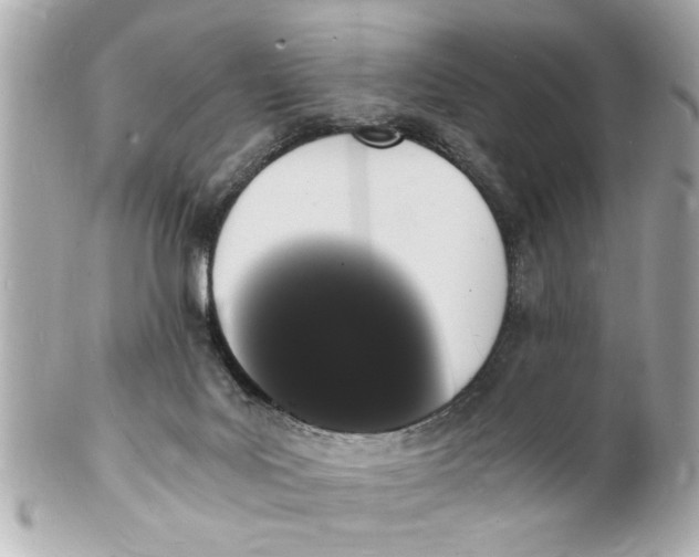X0000101670027200807311507